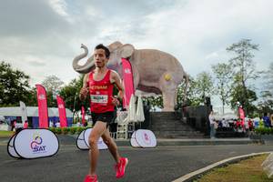 BIB: 
                            <button type="button" onclick="openModal(26528384)" class="btn btn-primary btn-sm float-right btn-popup" data-toggle="modal" data-target=".modal-high-quality">
                        <i class="fas fa-shopping-cart"></i> Add to Cart
                    </button>
                                            <button type="button" onclick="isThisMe(26528384, true)" class="btn btn-success btn-sm float-right btn-popup btn-isme hidden" data-toggle="tooltip" data-placement="bottom" title="นี่คือรูปของคุณใช่ไหม คลิกที่นี่เพื่อเอาเข้าอัลบั้ม">
                        <i class="fas fa-plus"></i> Add to album
                    </button>
                    <button type="button" onclick="isThisMe(26528384, false)" class="btn btn-warning btn-sm float-right btn-popup btn-isnotme hidden">
                        <i class="fas fa-ban"></i> Remove from album
                    </button>